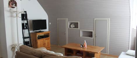 Tv, videospil, dvd-afspiller, bøger