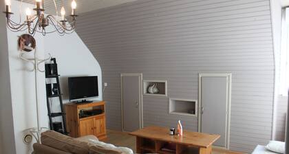 Apartment house *** in Besse, comfortable. Hiking, fishing, skiing ...