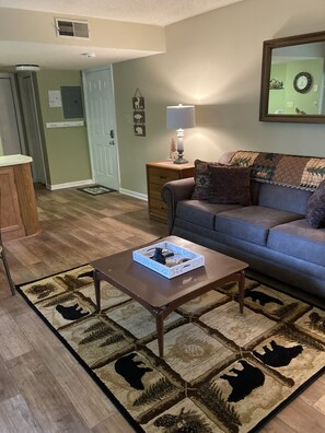 Televisión, chimenea, reproductor de DVD y futbolito 