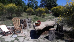 A rustic outdoor seating area with a wicker chair and a stone table with a flower pot. - I Poggi di Belvedere (Pieve Santo Stefano AR)
