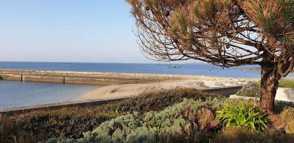 Una spiaggia nelle vicinanze