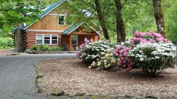 Une cabane en rondins avec une cheminée en pierre, entourée d’une végétation luxuriante et de buissons en fleurs.