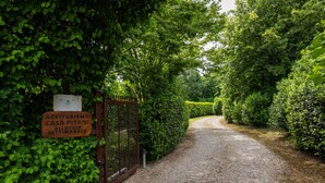 Un camino de grava que serpentea por un exuberante jardín verde, con una reja metálica y un letrero que indica parcelas semanales para agricultura.