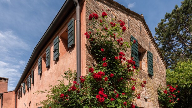 Un edificio de piedra con contraventanas verdes y flores rojas en primer plano.
