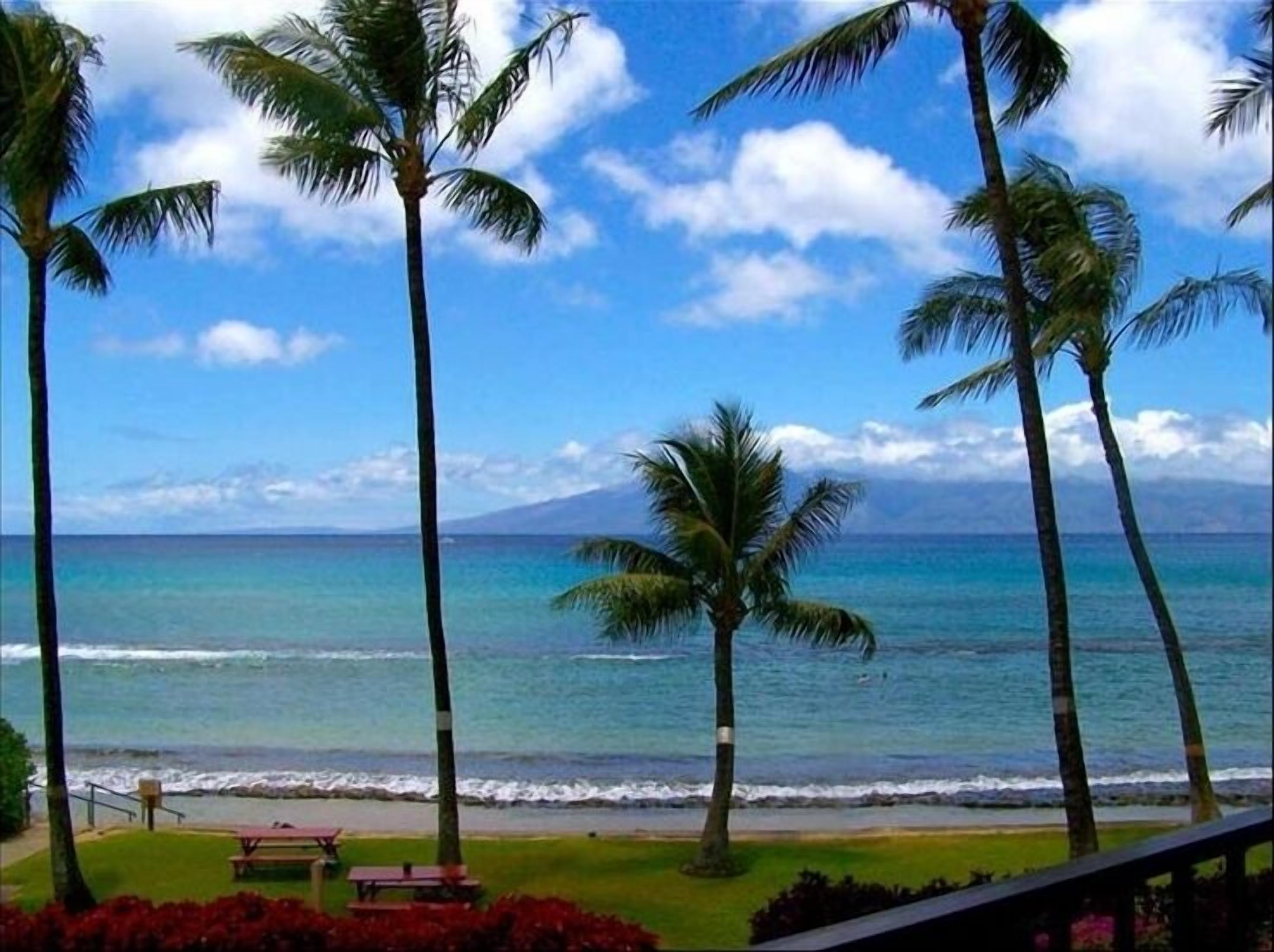 WEST MAUI IS OPEN - BINOCULARS NOT NEEDED!, DIRECT Ocean Front, 2bd/2bath