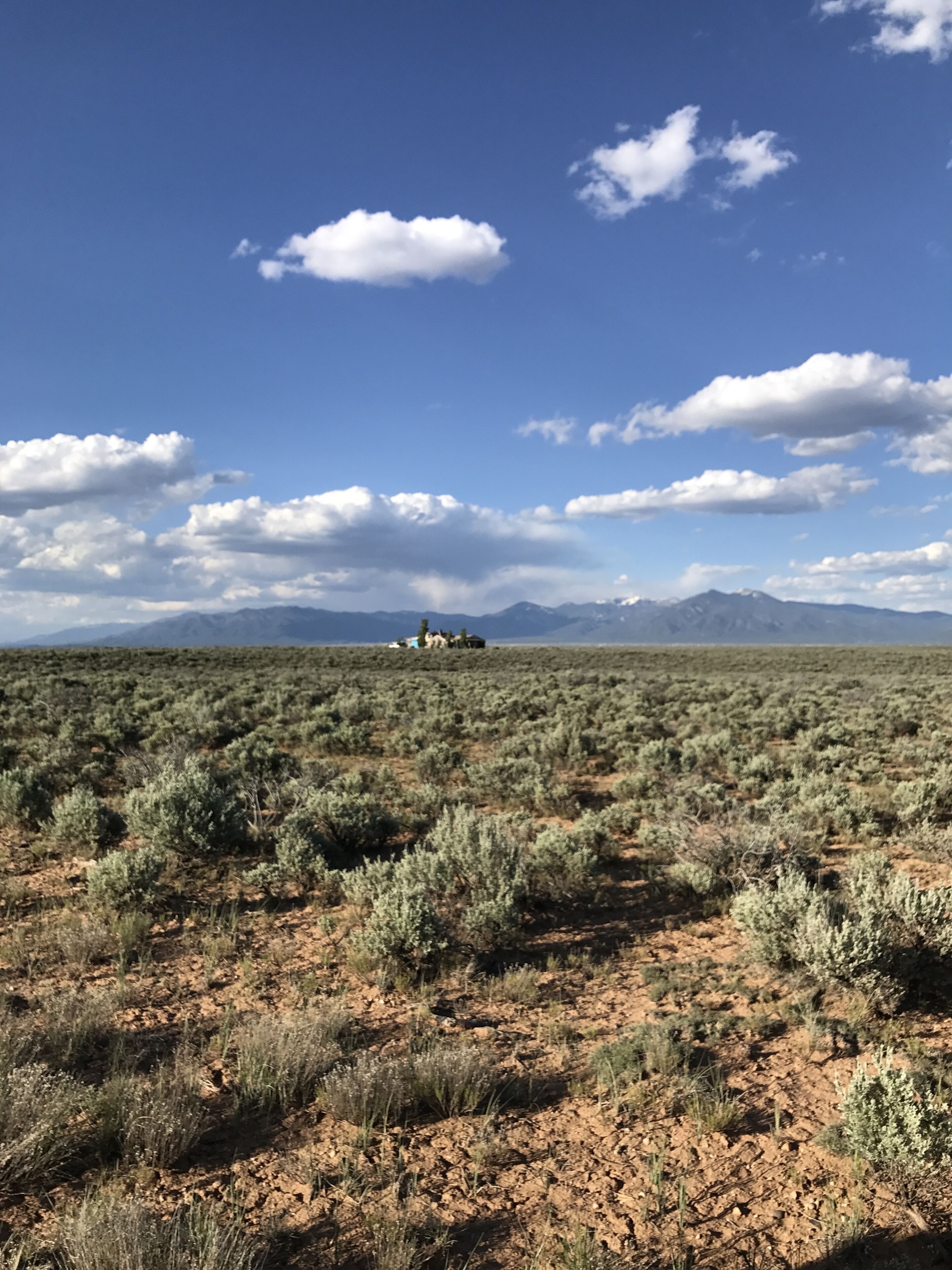 The Woman, The Rabbit and the Moon Ranch 