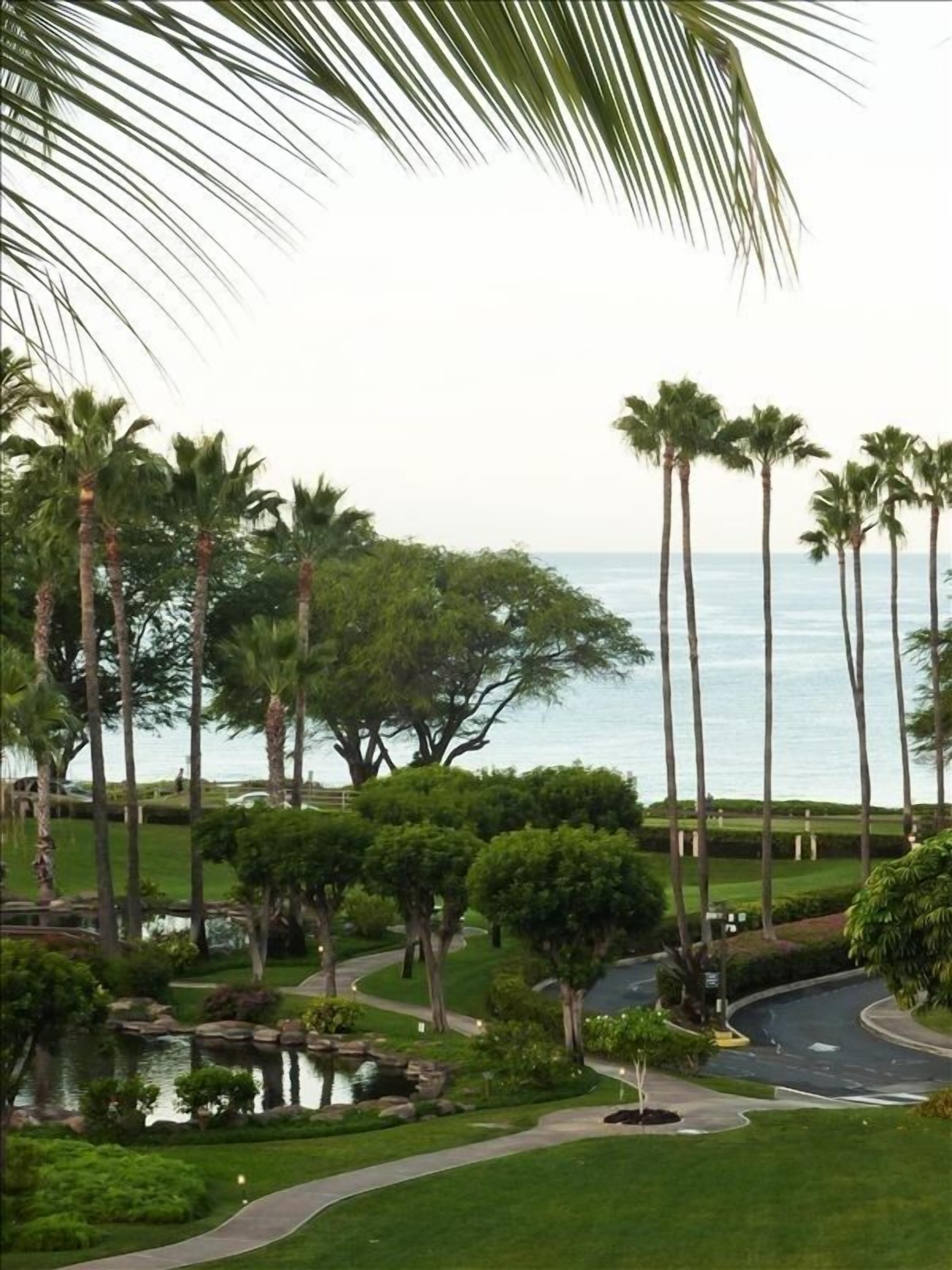 View from Lanai - 