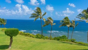 A coastal landscape with palm trees and a view of the ocean.