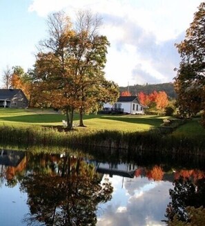 Looking at house from the stocked pond