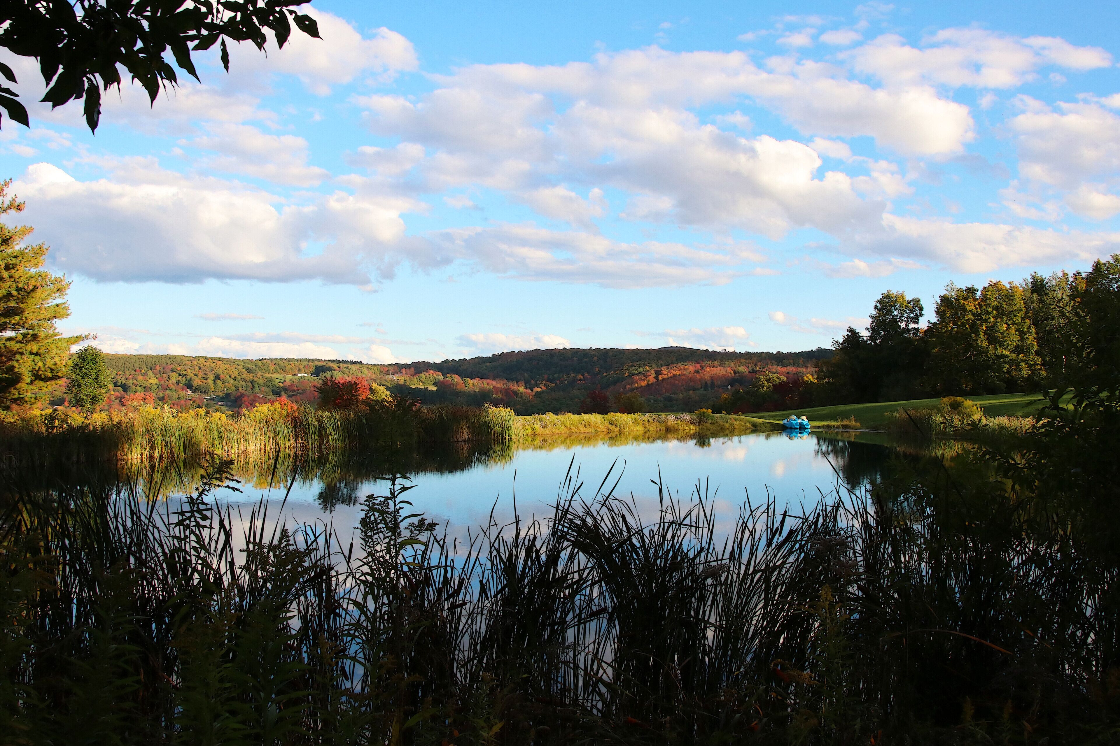 A serene lake with reeds in the foreground, surrounded by autumn-colored trees and a clear sky.