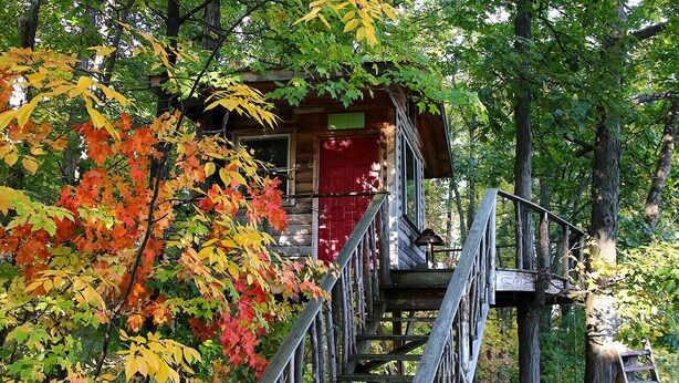 Un chalet rustique avec une porte rouge, entouré d’un feuillage automnal.