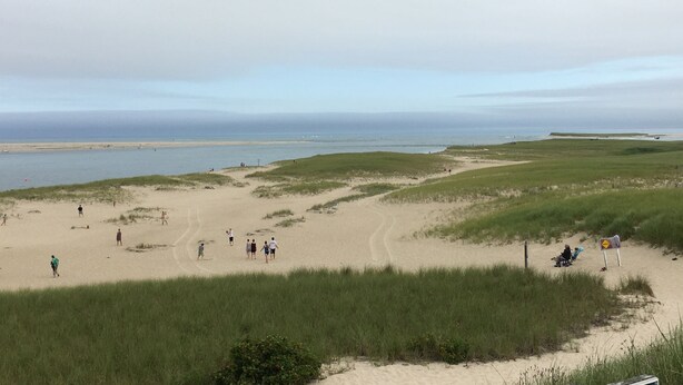 A beach with people walking and sitting on the sand, a grassy area, and a view of the sea.