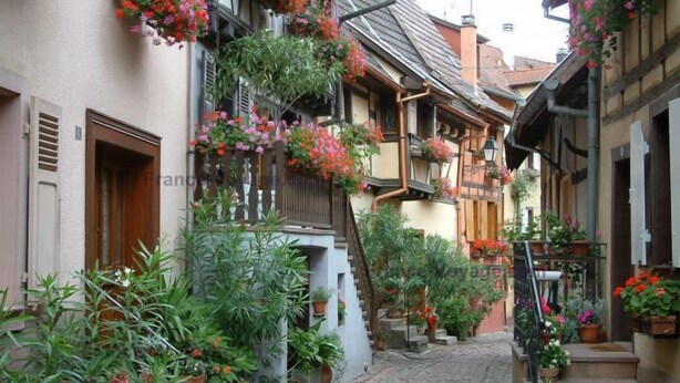 Eine enge Kopfsteinpflasterstraße gesäumt von traditionellen Gebäuden, die jeweils mit hängenden Blumenkörben und Topfpflanzen geschmückt sind.