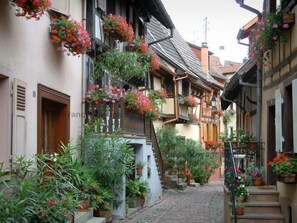 Une ruelle étroite pavée, bordée de bâtiments traditionnels, chacun étant agrémenté de jardinières suspendues et de plantes en pot.