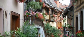 Komfortabel hytte *** i Eguisheim nær Colmar 