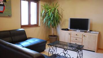 TV, DVD player, table tennis