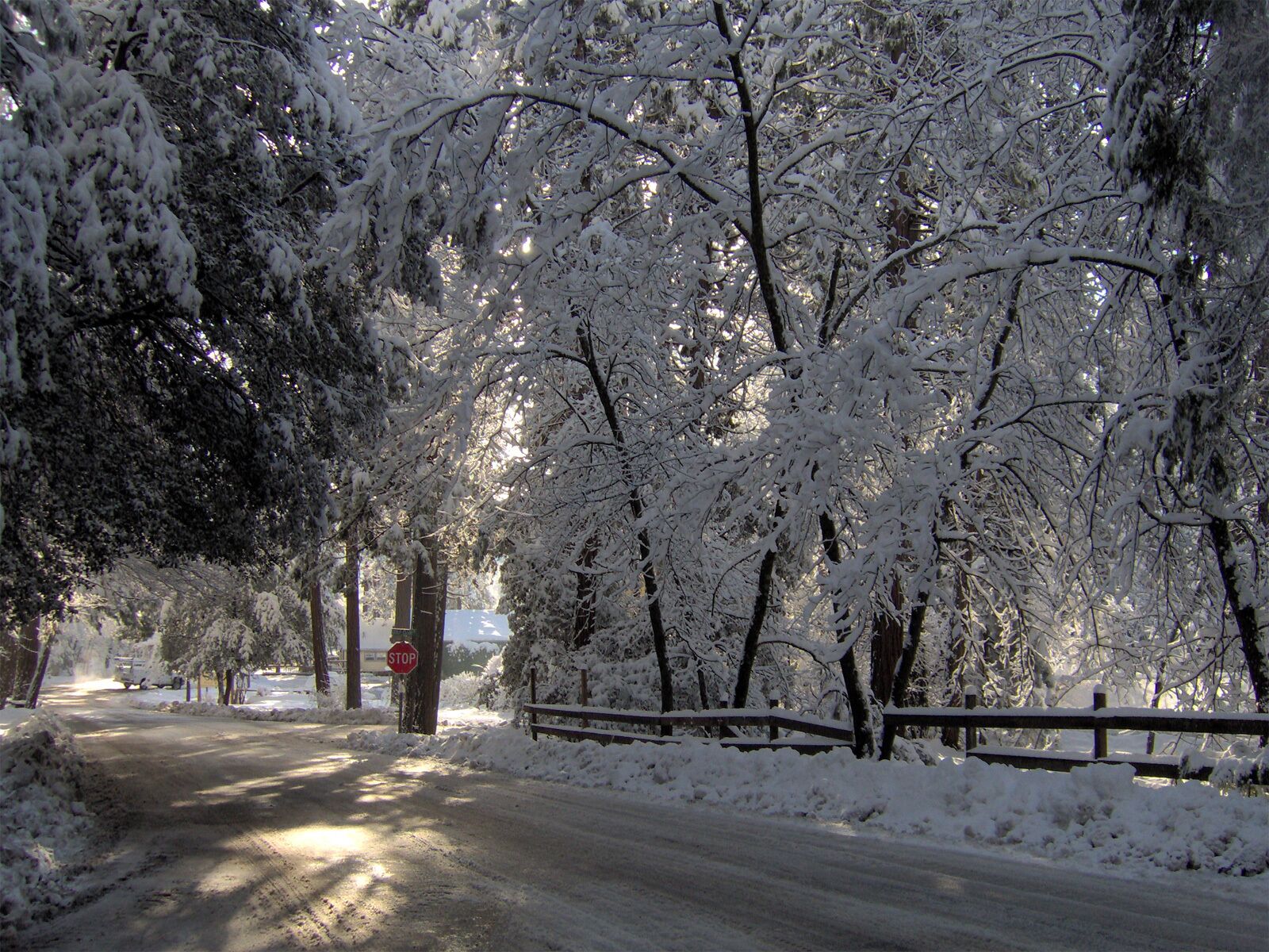 Esportes de neve e esqui