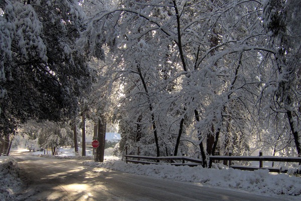 Esportes de neve e esqui