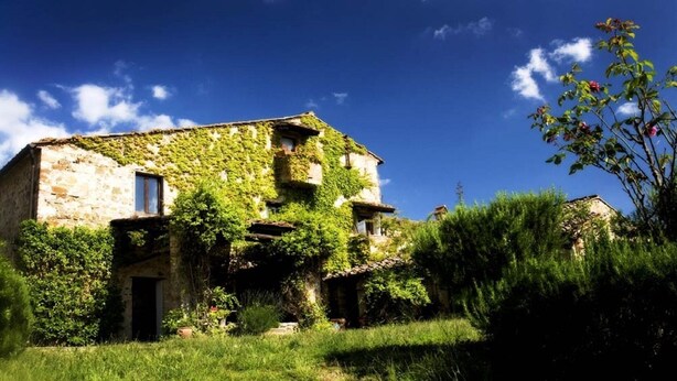 A rustic stone building with ivy-covered walls, a small garden, and a clear blue sky.