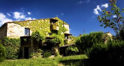 Beautiful historic Villa on organic olive farm, with pool & sunset views