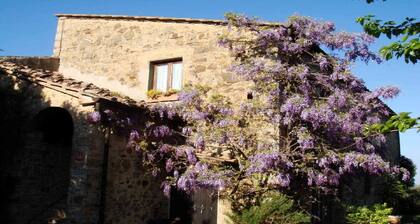 Beautiful historic Villa on organic olive farm, with pool & sunset views