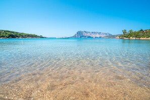 Une vue dégagée sur une plage aux eaux calmes, avec une montagne en arrière-plan.