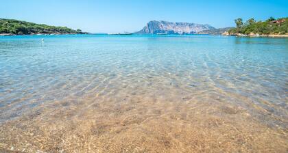 Chalet Coquillage Sur la Mer Ă Capo Coda Cavallo San Teodoro