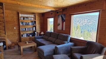 Téléviseur, foyer, livres, chaîne audio