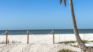 Escena de playa con una palmera, cielo azul despejado y mar.
