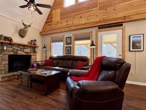 Älytelevisio, takka, DVD-soitin, kirjoja