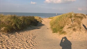 Nära stranden