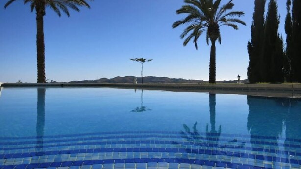 A swimming pool with clear blue water, surrounded by palm trees and tall cypress trees.