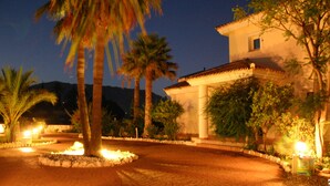 A well-lit courtyard with palm trees, a paved walkway, and a building with a tiled roof.