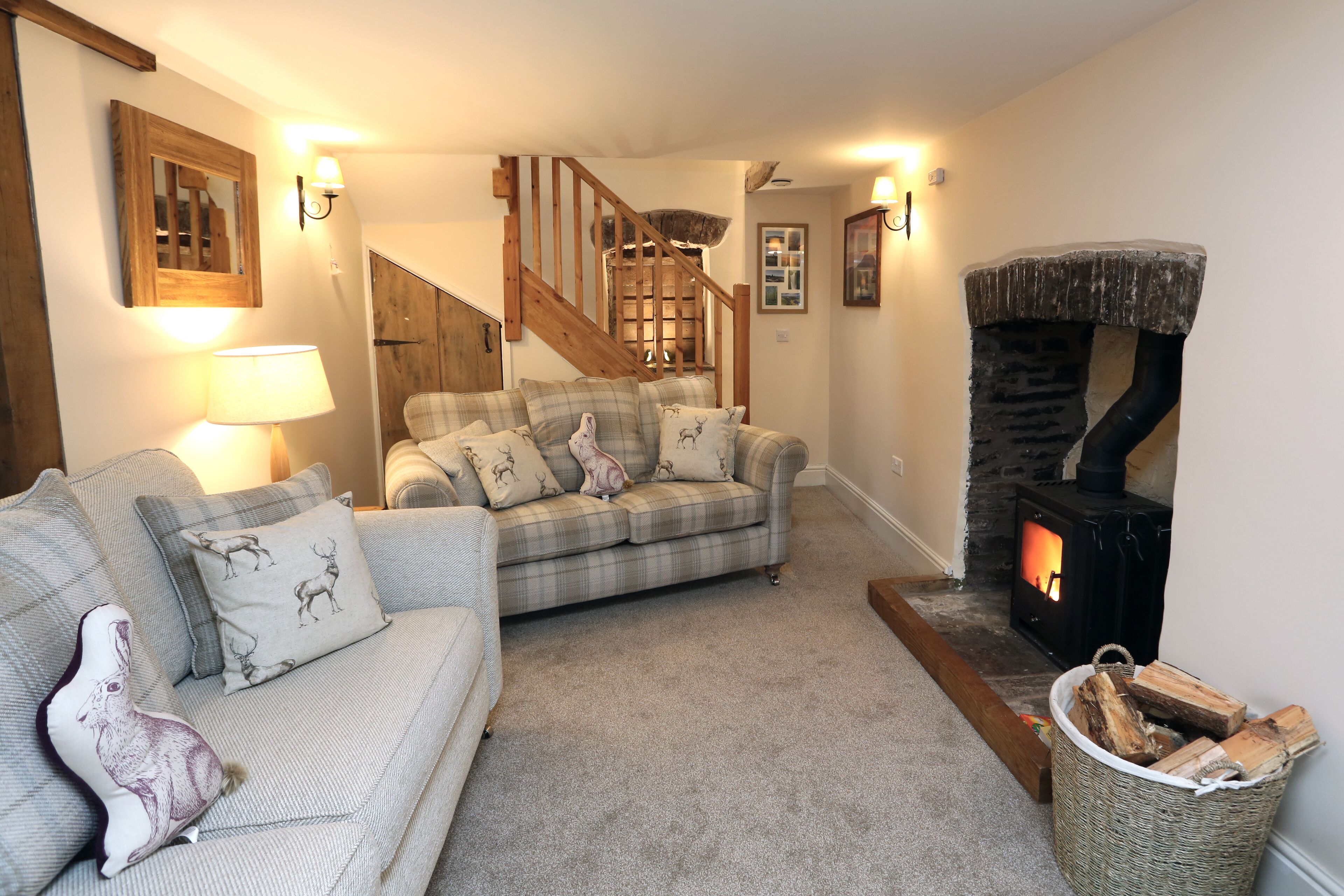 TV, fireplace, DVD player, books