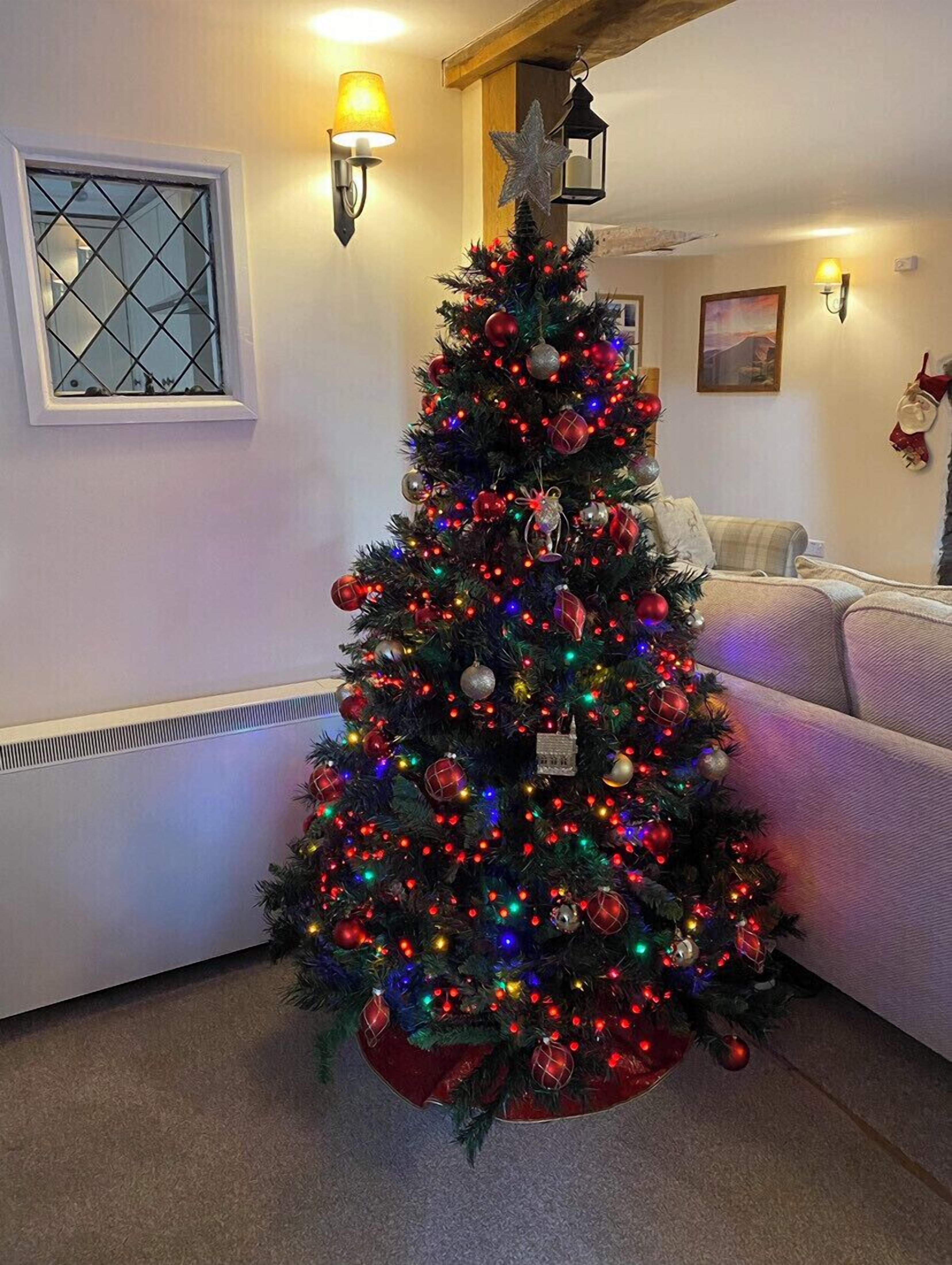 A Christmas tree decorated with ornaments and lights in a room with a window, a radiator, and a couch.