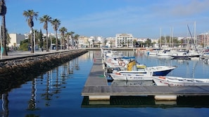 Boats docked along a picturesque pier, surrounded by palm trees and calm waters.
