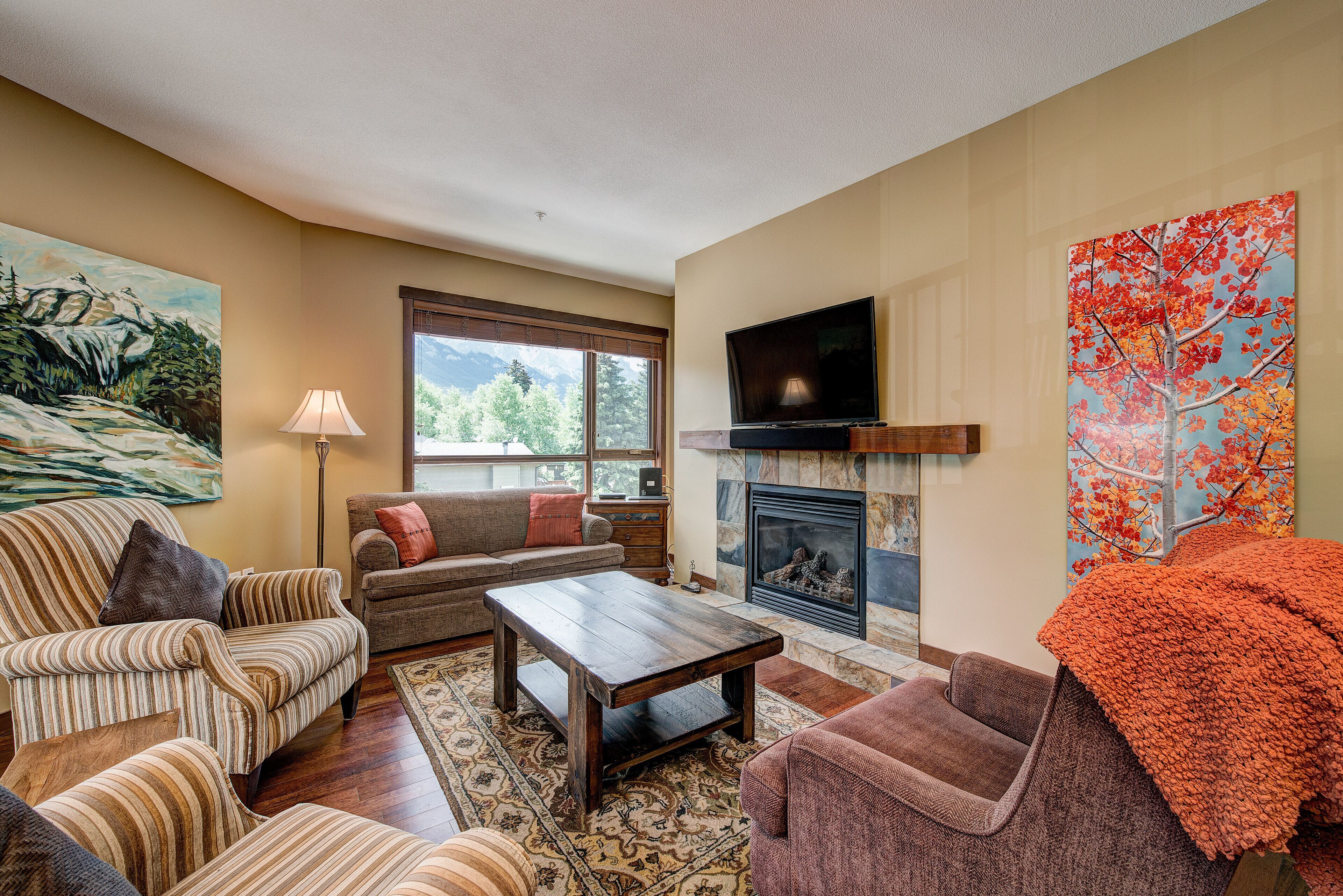 TV, fireplace, DVD player, books