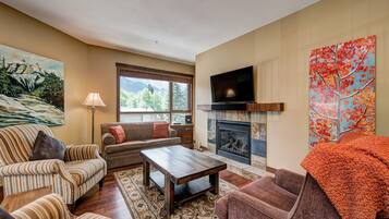 TV, fireplace, DVD player, books