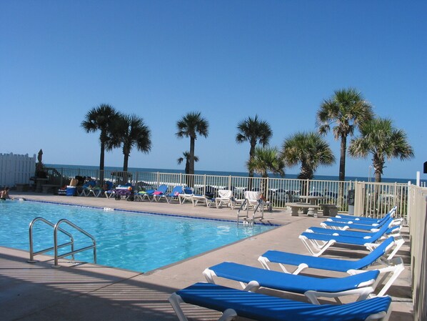 A pool area with blue lounge chairs, a pool, and palm trees.