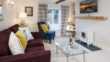 Smart TV, fireplace, DVD player, books