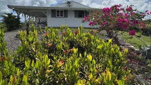 A white house with a covered porch, surrounded by lush greenery and vibrant bougainvillea flowers. - Sugar Cane House (GRAND BOURG)