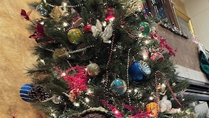 Ein Weihnachtsbaum mit Dekoration und Lichterketten, ein Holzboden und eine Treppe im Hintergrund.