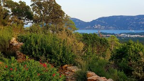 A coastal landscape with a stone wall, dense greenery, and a view of a town across the water. - House / Villa - Porto vecchio (Porto-Vecchio)