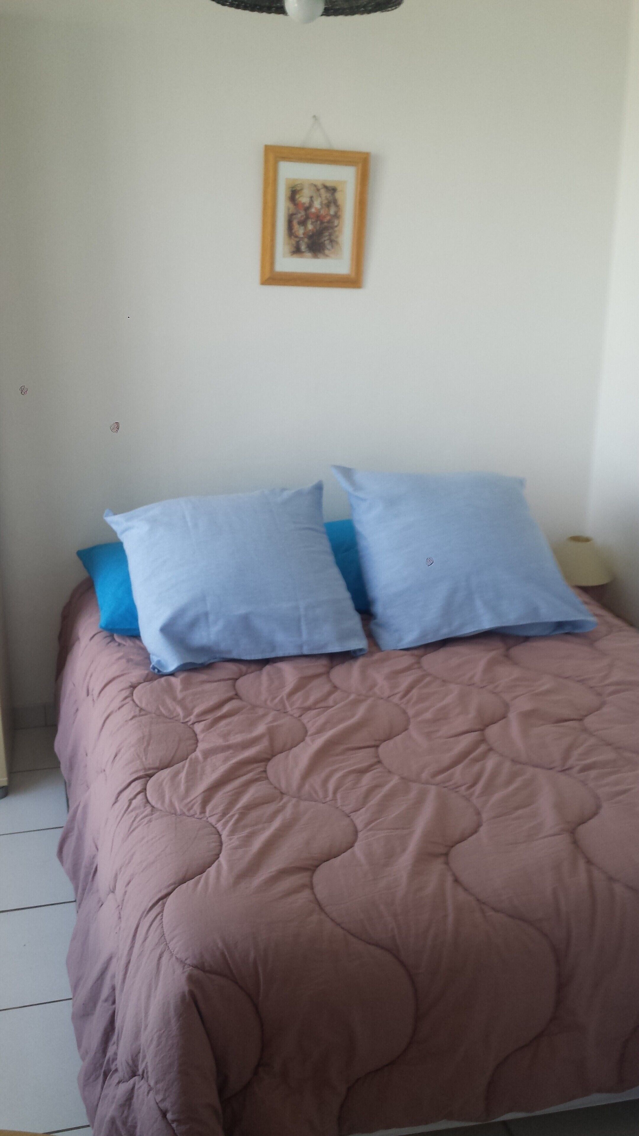 Ideally located 100 meters from the cable car: skiing in winter, mountain biking in summer