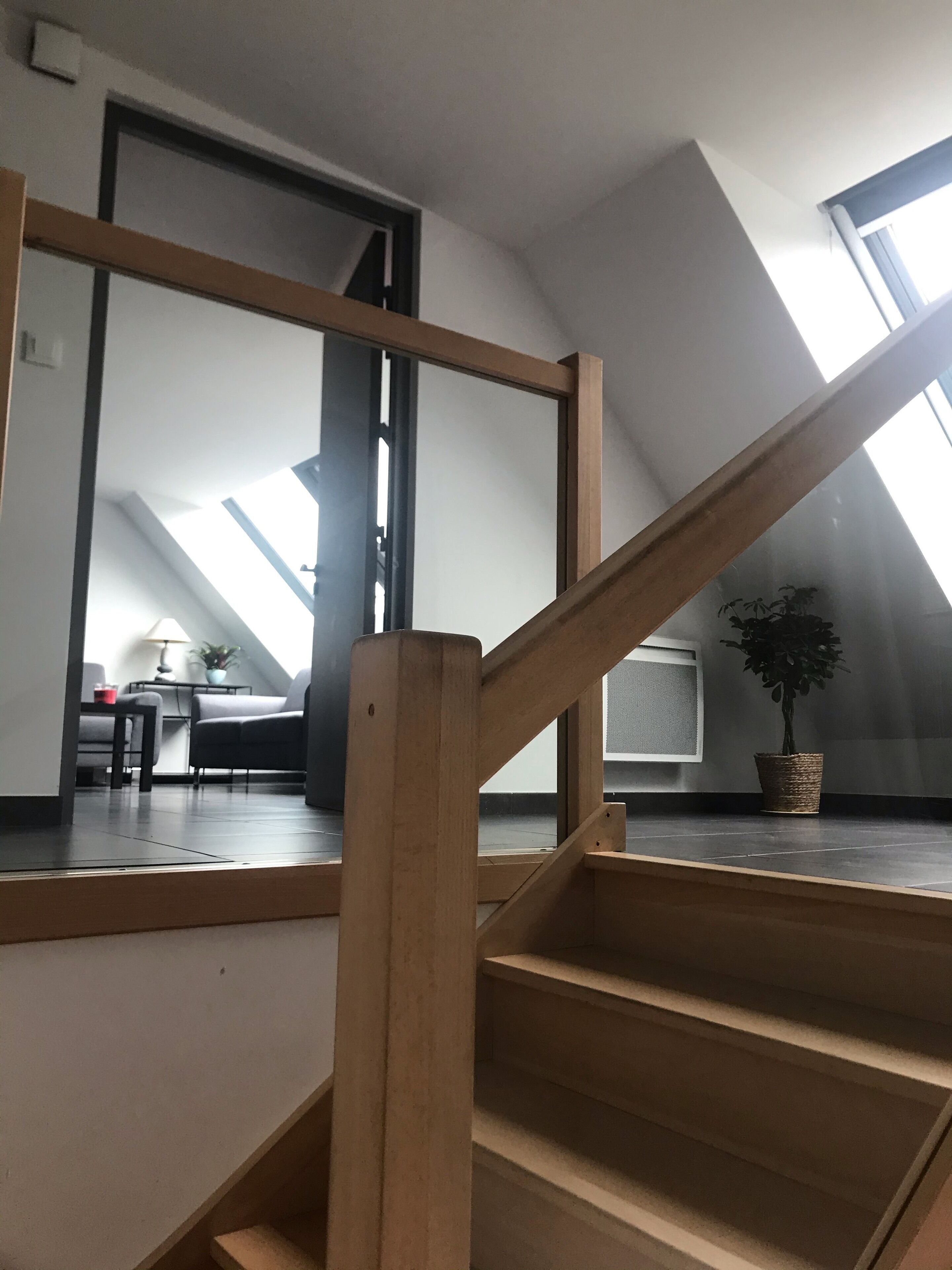 A wooden staircase leading to a loft bedroom with skylights, a TV, and a potted plant.