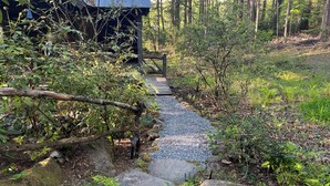 Een bebost gebied met een houten brug naar een gebouw met een blauw dak.