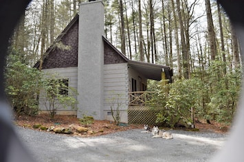 Cabin in March