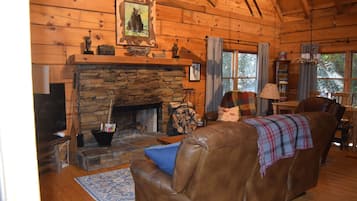 TV connectée, cheminée, lecteur de DVD, livres