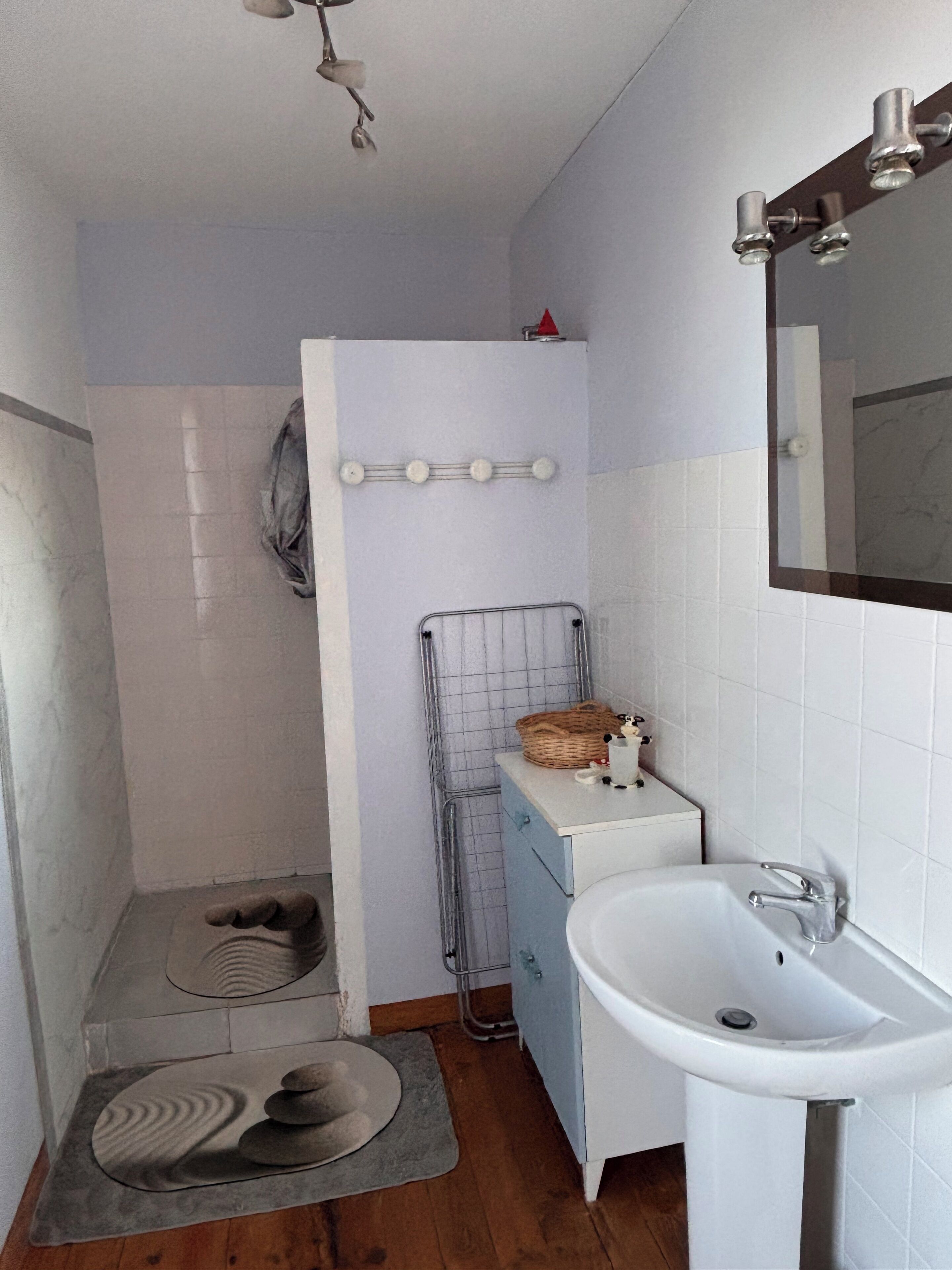 Een badkamer met een witte wasbak, een spiegel, een handdoekhouder, een douchegedeelte en een klein vloerkleed.