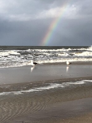 Beach nearby, sun loungers - idyllic location, beach 7km, 85sqm, 3 rooms, up to 6 people, near Karls Erlebnishof! (Rostock)